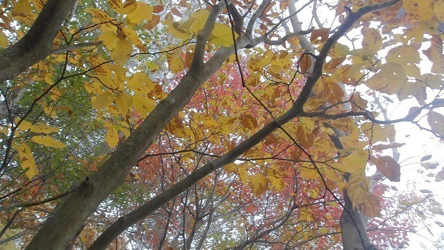 100_0101.jpg
