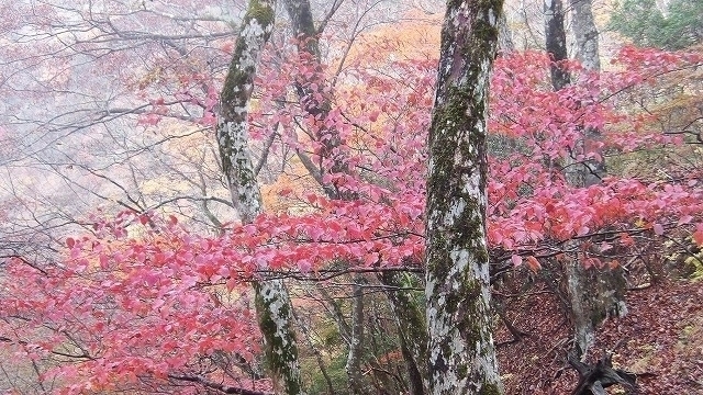 100_0128.jpg