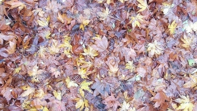 100_0108.jpg