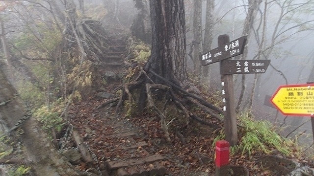100_0105.jpg