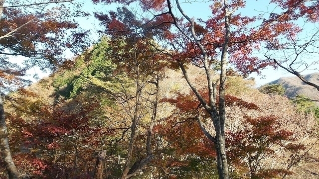 100_0051.jpg