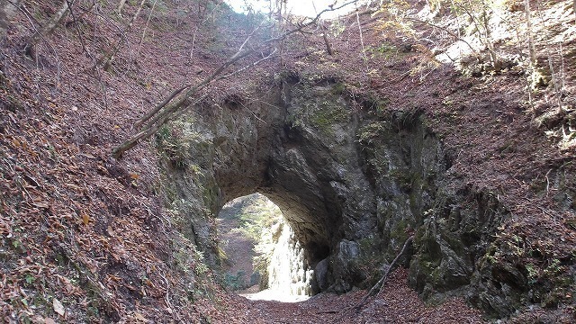 100_0091.jpg