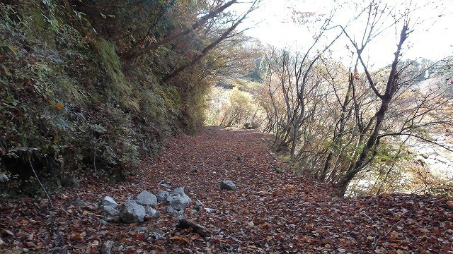100_0097.jpg