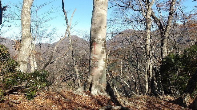 100_0074.jpg