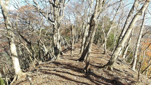100_0075.jpg