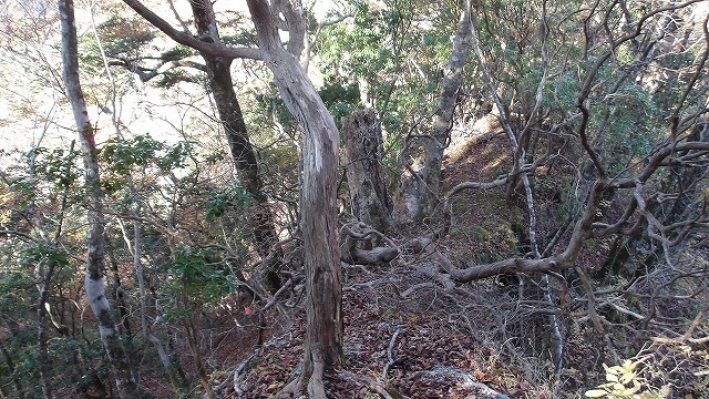 100_0081.jpg