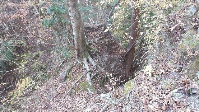 100_0103.jpg