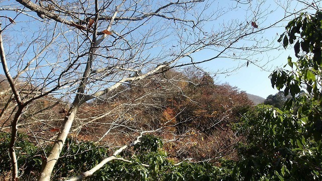 100_0101.jpg