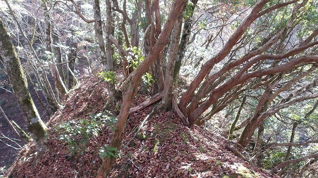 100_0112.jpg