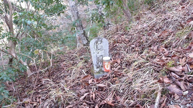 100_0114.jpg