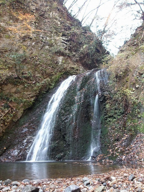 100_0101.jpg