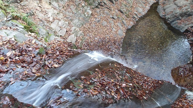 100_0078.jpg