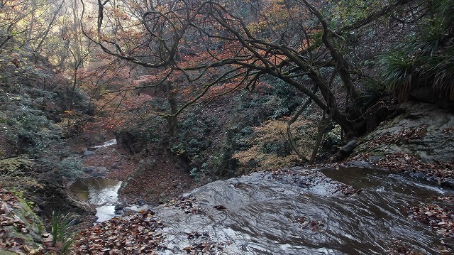 100_0093-1.jpg