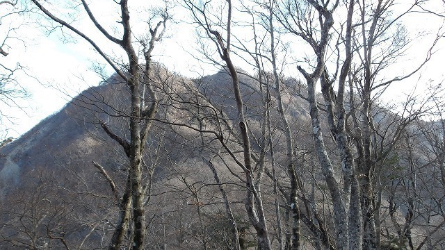 100_0031.jpg
