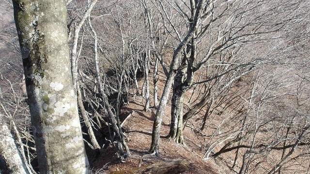 100_0034.jpg