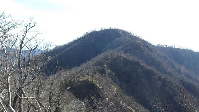 100_0051.jpg