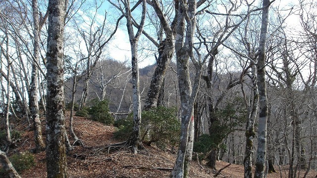 100_0026.jpg