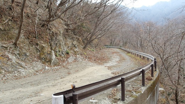 100_0012.jpg
