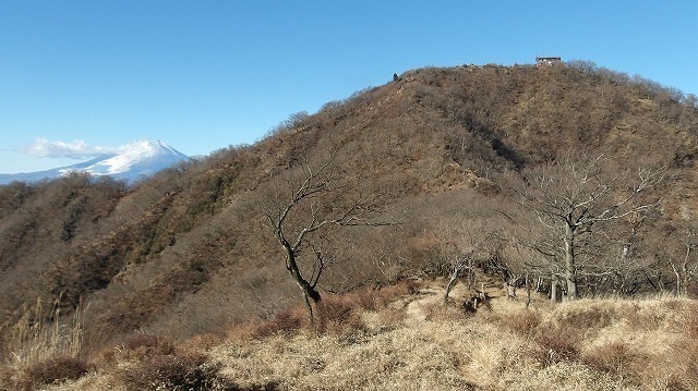 100_0079-1.jpg