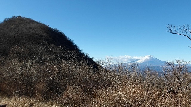 100_0100-1.jpg