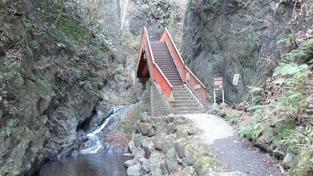 100_0117.jpg
