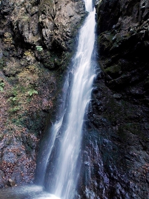 100_0133.jpg