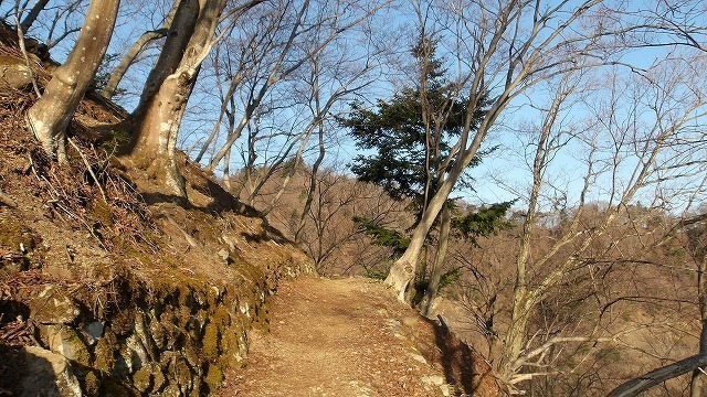 100_0509.jpg