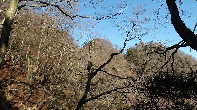 100_0523.jpg