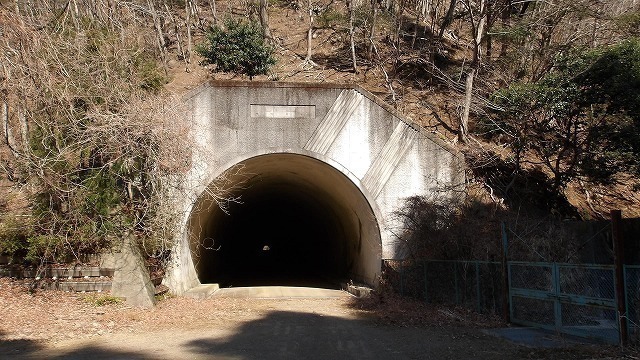 100_0539.jpg