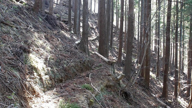 100_0545.jpg