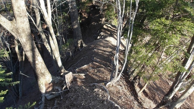 100_0521.jpg