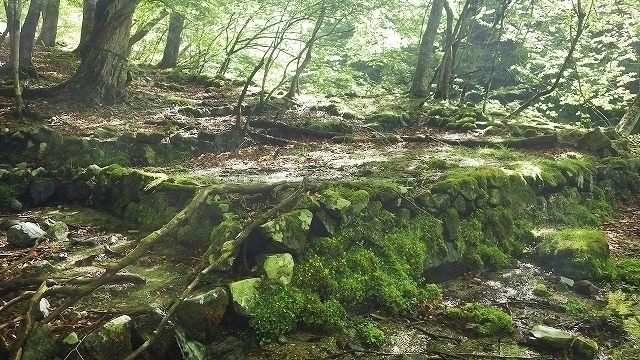 IGA_0198.jpg