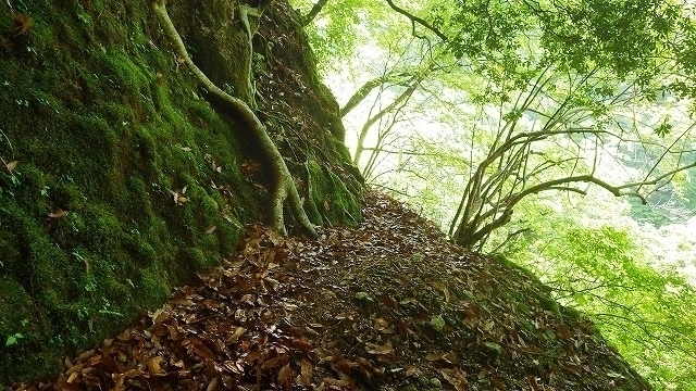IGA_0194.jpg