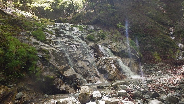 IGA_0213.jpg