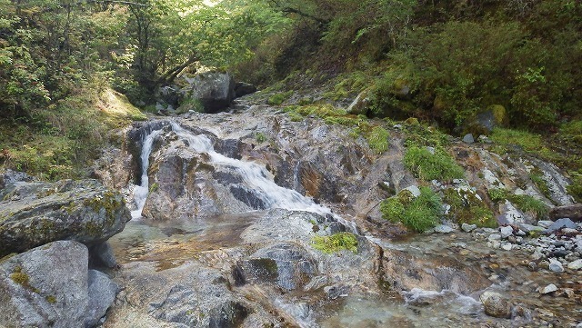 IGA_0208.jpg