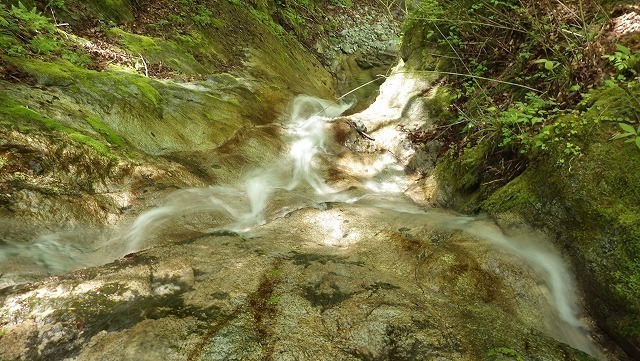 IGA_0218.jpg
