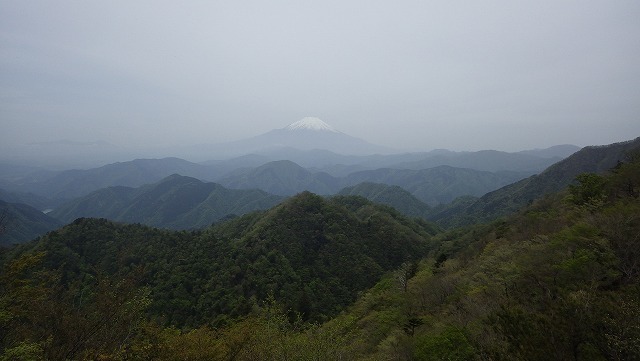 IGA_0247.jpg