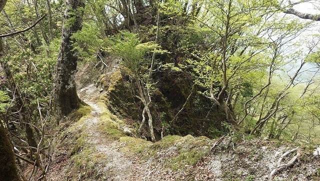 IGA_0241.jpg