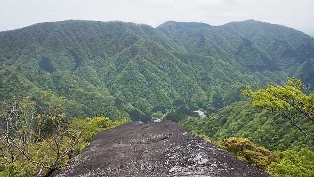 IGA_0252.jpg