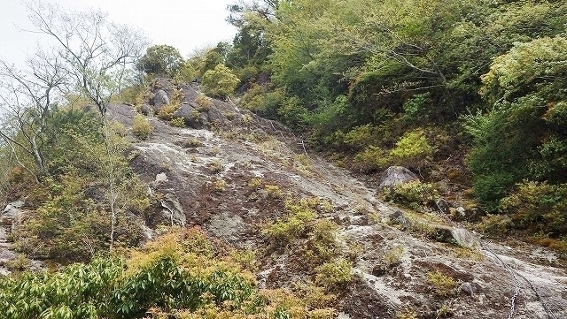 IGA_0242.jpg