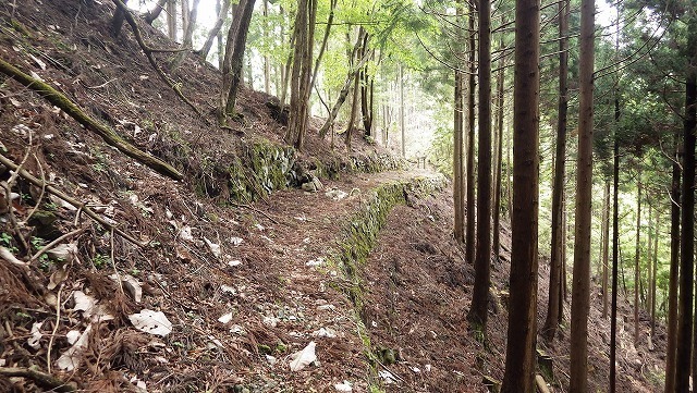 IGA_0261.jpg