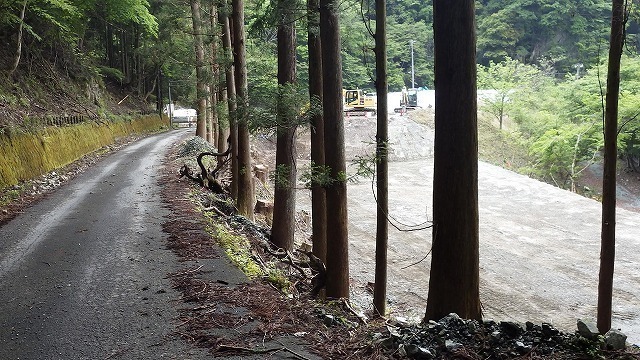 IGA_0267.jpg