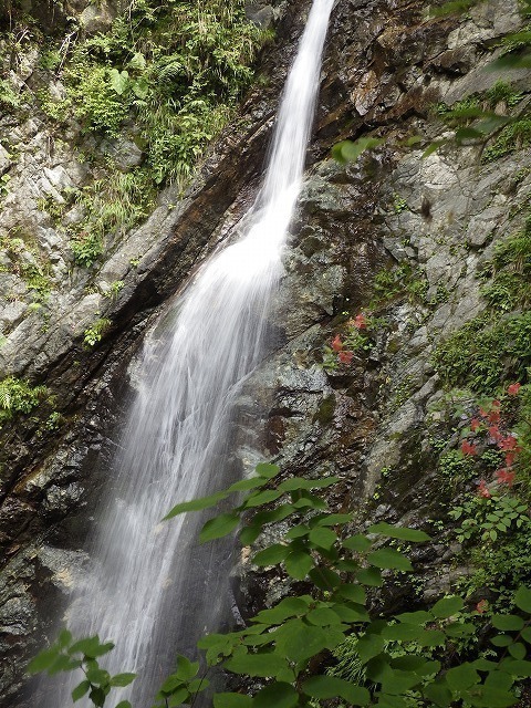 IGA_0367.jpg