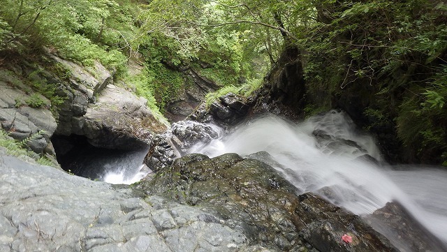 IGA_0354.jpg