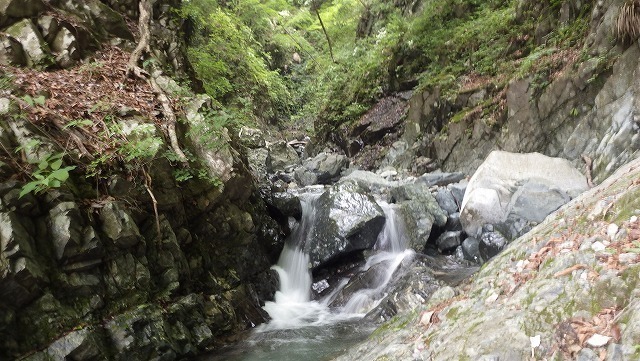 IGA_0339.jpg