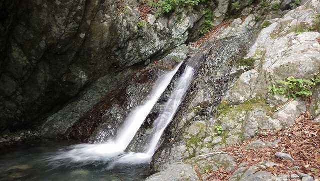 IGA_0358.jpg