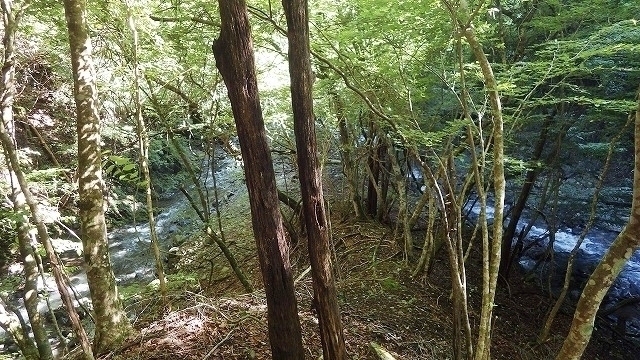 IGA_0593.jpg
