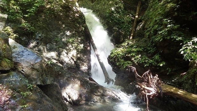 IGA_0595-1.jpg
