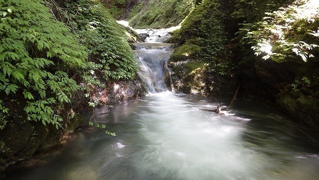 IGA_0614.jpg