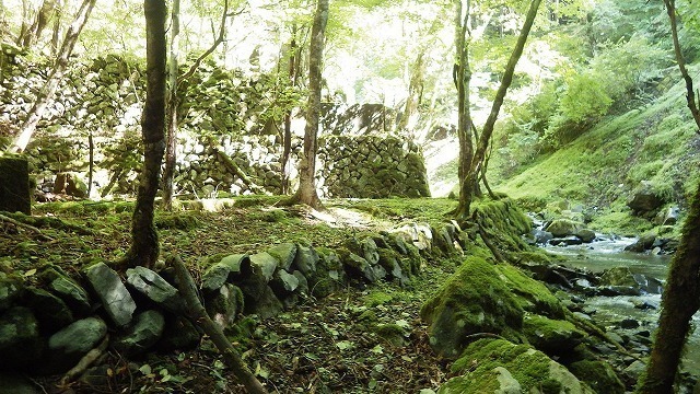 IGA_0602.jpg